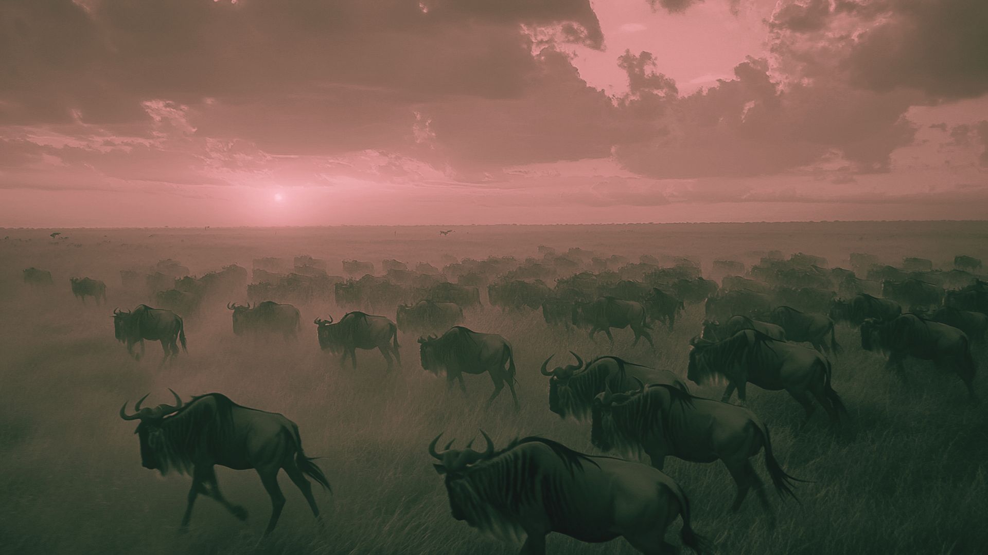 The Great Migration