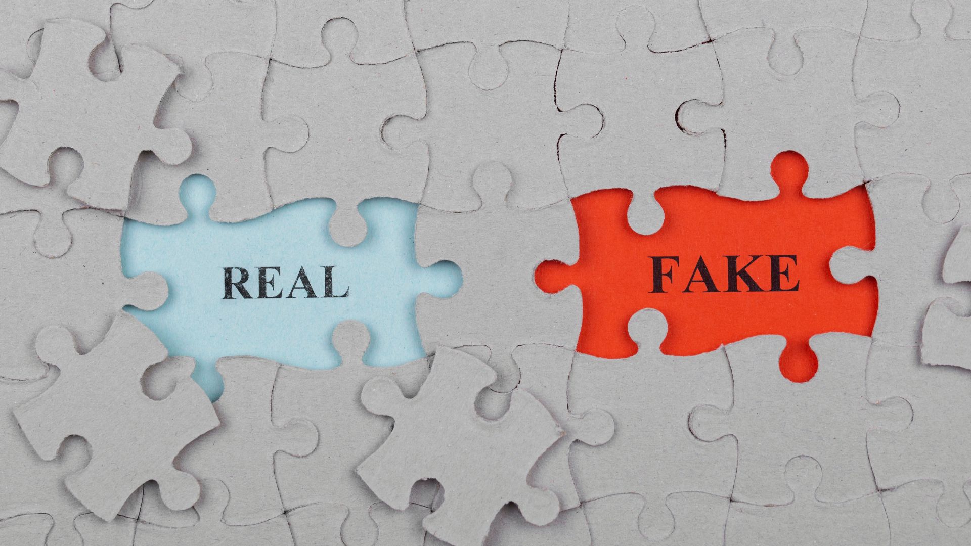 Skilled vs Fake Digital Marketers